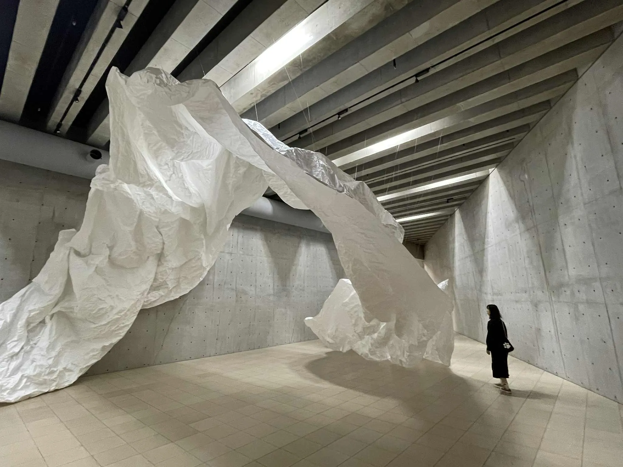 <p><strong>Pulp it!</strong>(2025)</p>