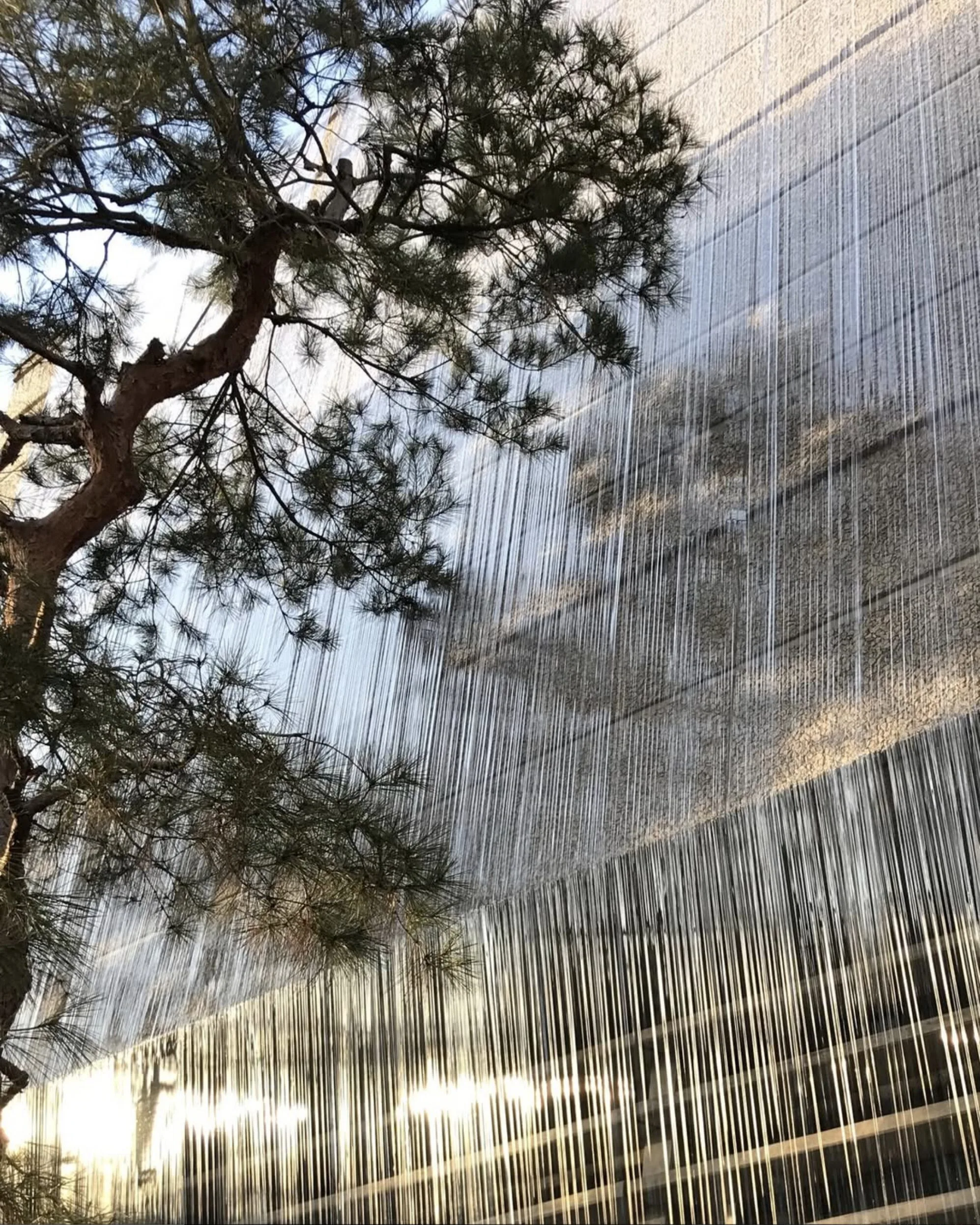 <p><strong>CARE</strong>(2024)</p>