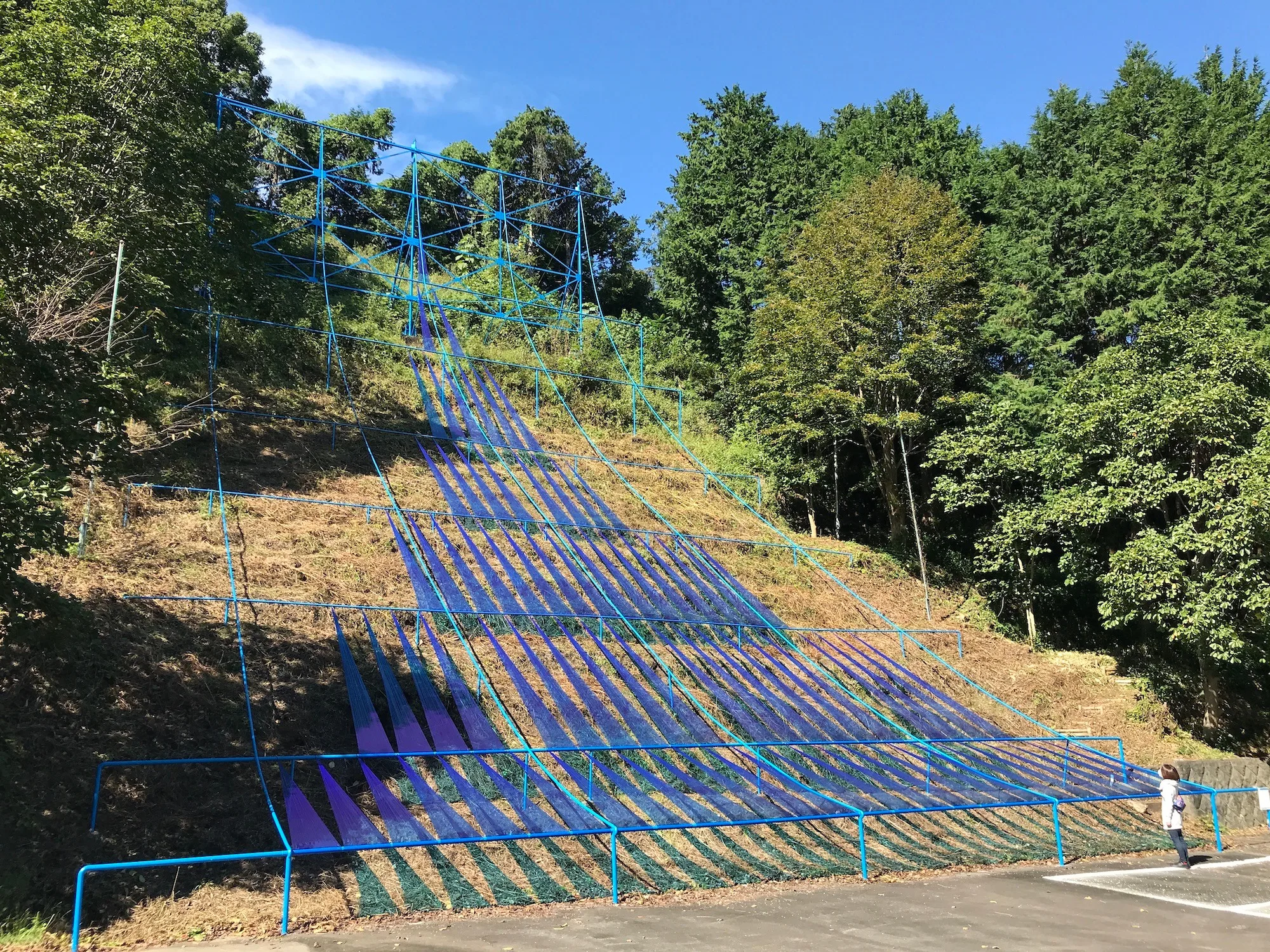 <p><strong>あおい風色</strong>(2020)</p>