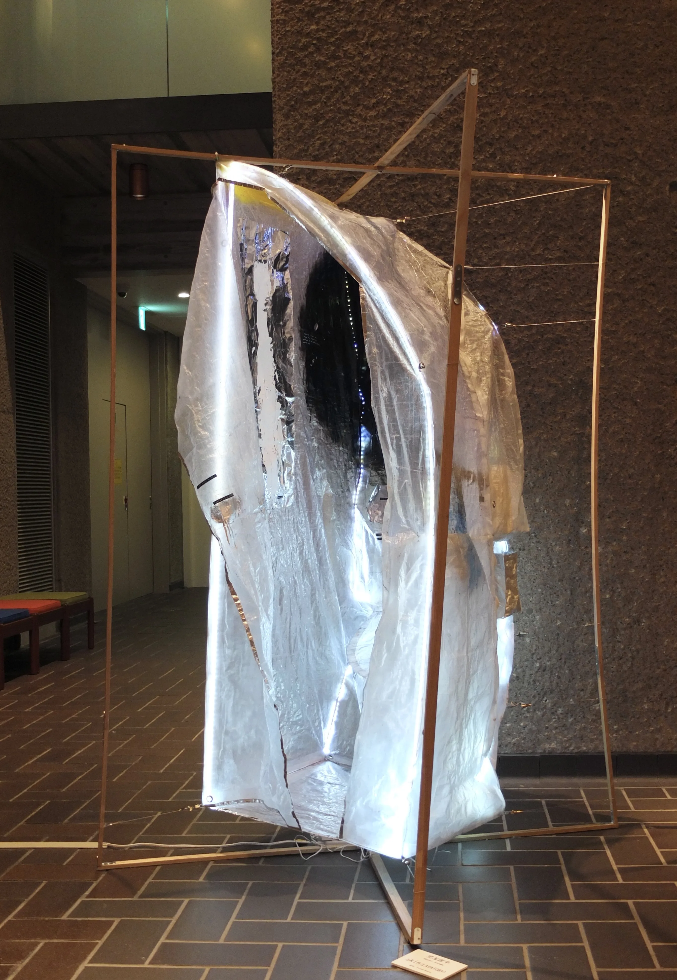 <p><strong>Skin(LAVATORY)</strong> (2023年)</p> 