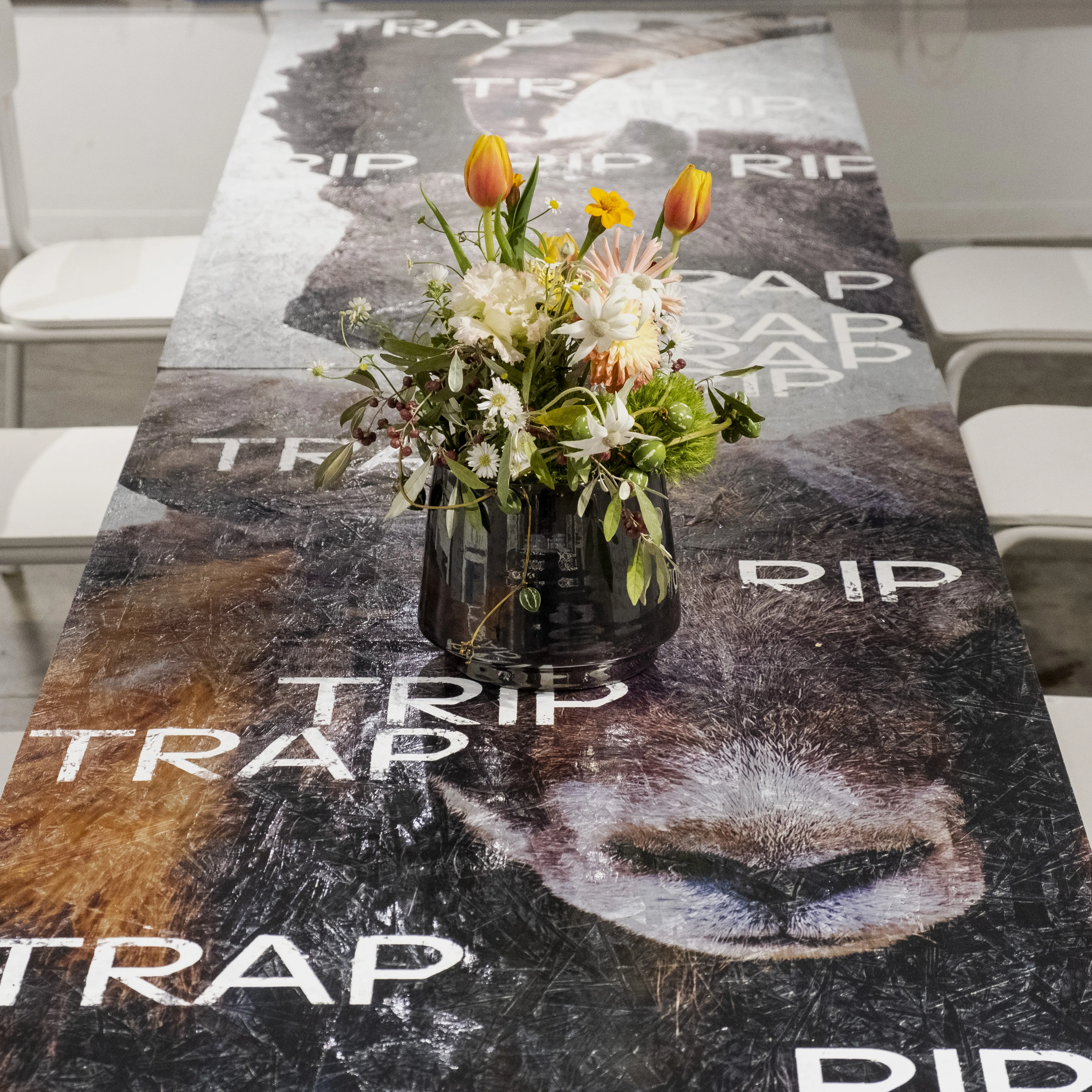 <p>TRAP TRAP TRAP（2023年）</p> 