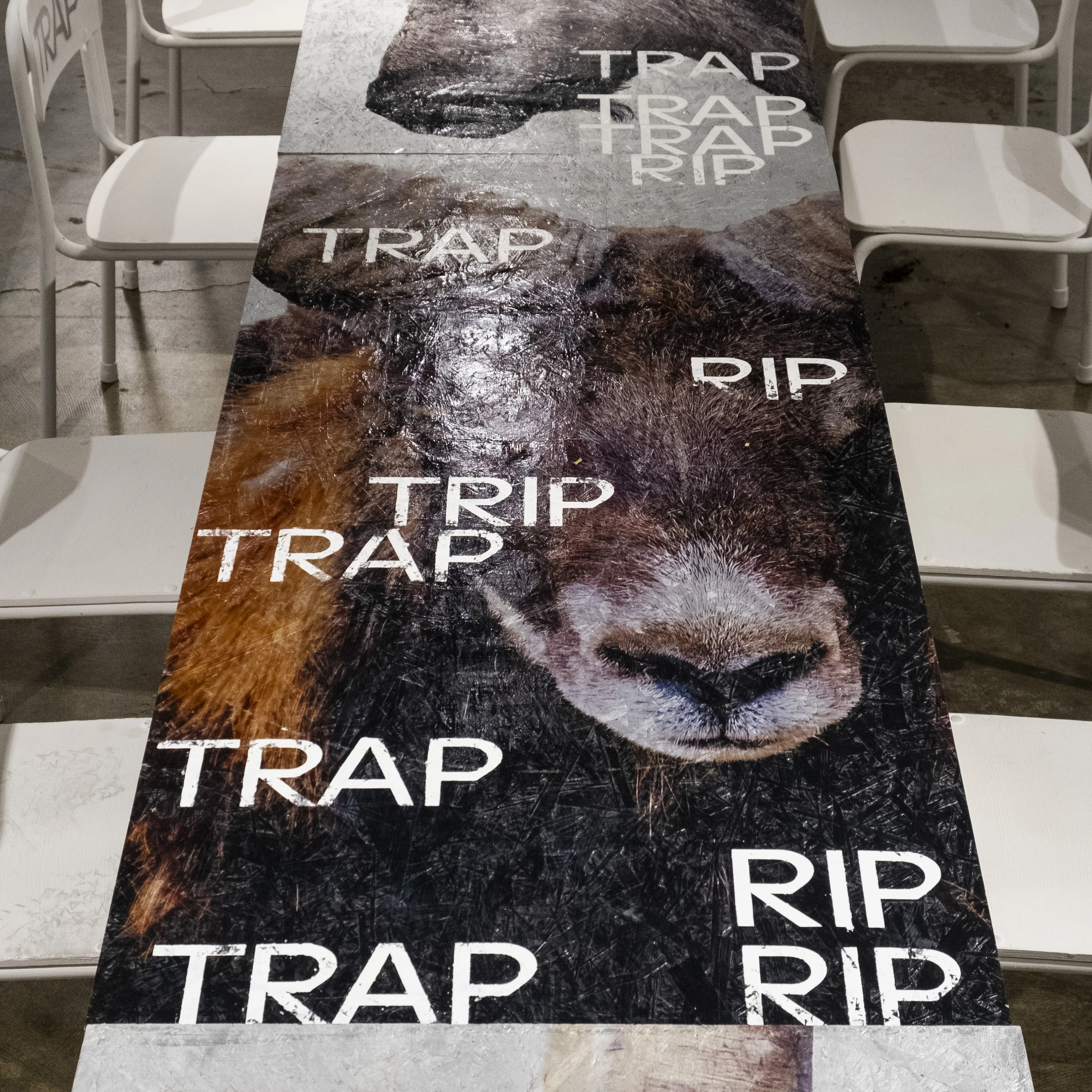 <p>TRAP TRAP TRAP（2023年）</p> 